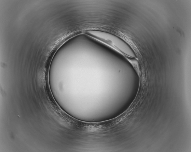 X0000090610346200708071208