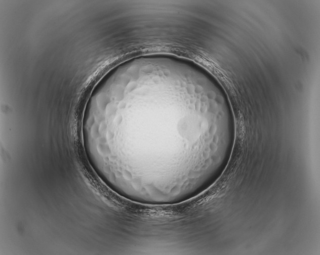 X0000090610347200708071208