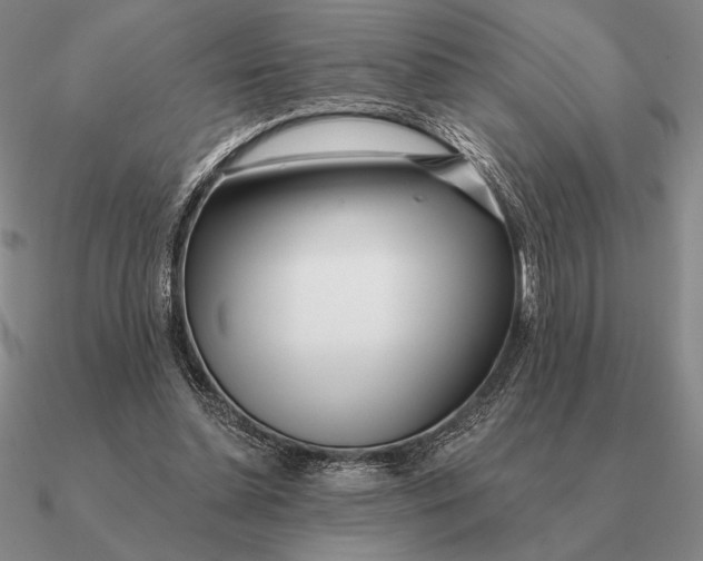 X0000090610348200708071208