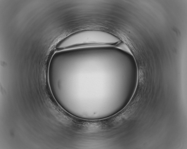 X0000090610349200708071208