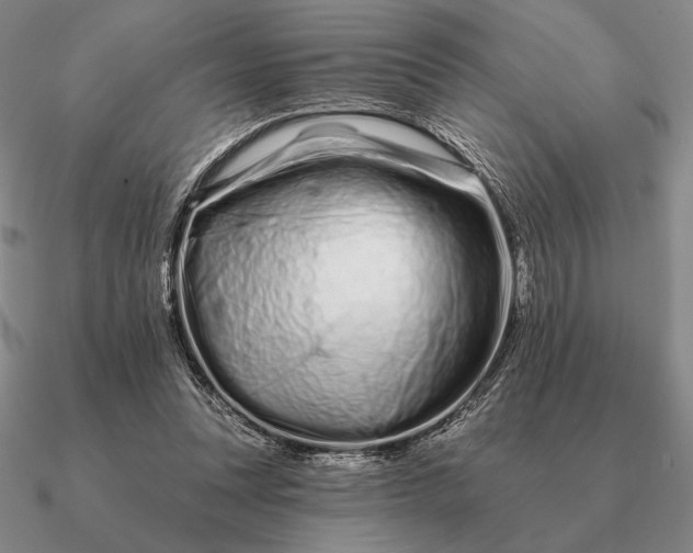 X0000090610351200708071208