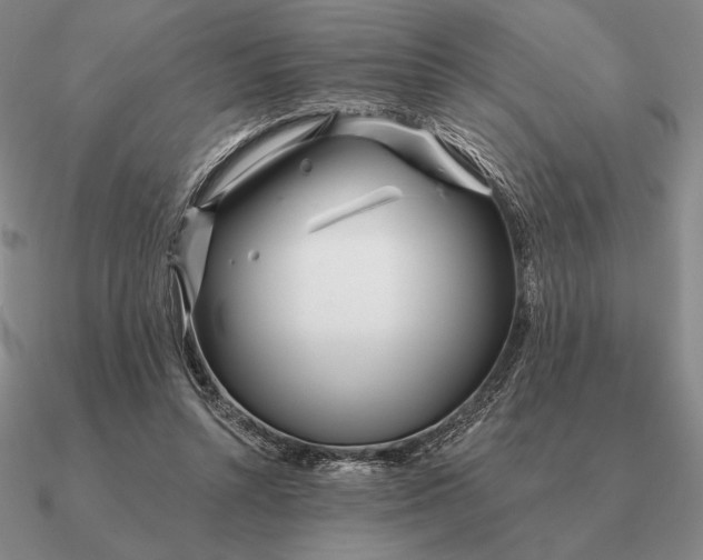 X0000090610352200708071208