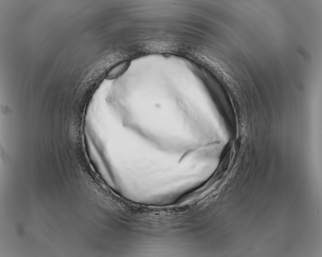 X0000090610353200708071208