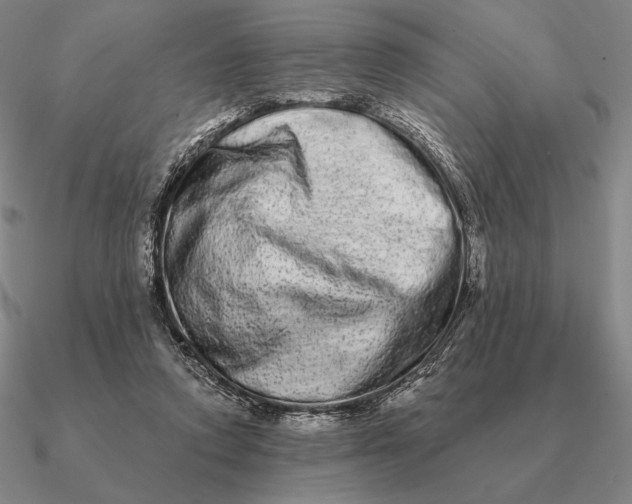 X0000090610354200708071208