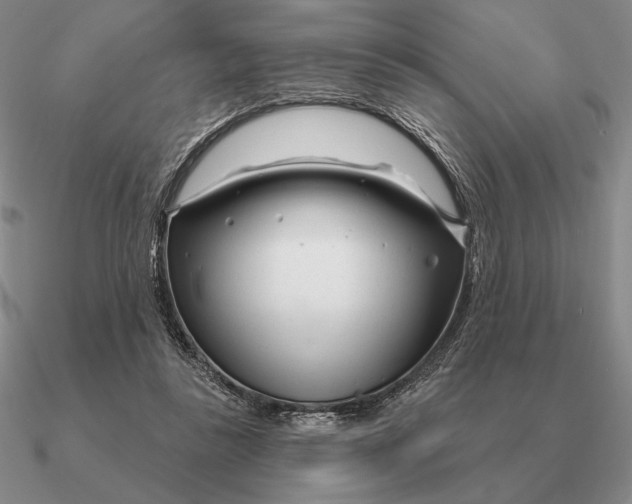 X0000090610355200708071208