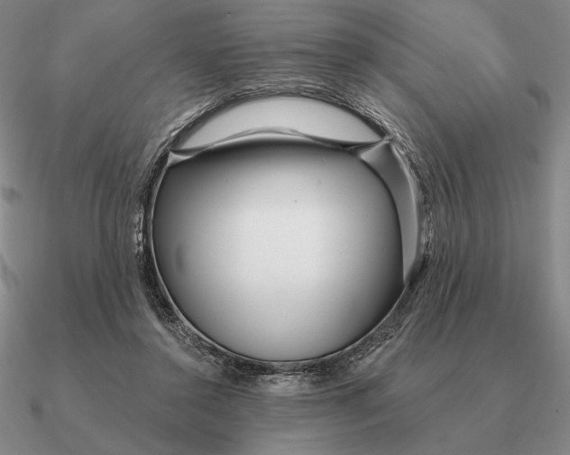 X0000090610356200708071208