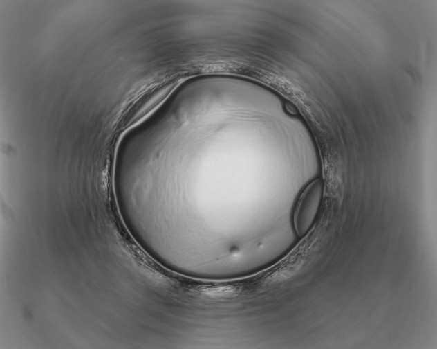 X0000090610357200708071208