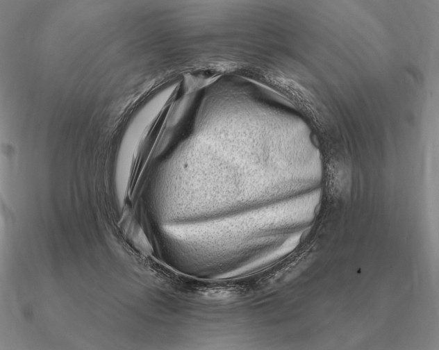 X0000090610358200708071208