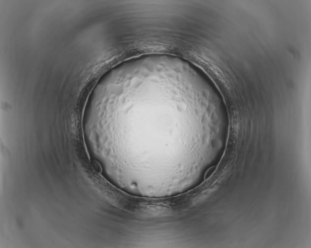 X0000090610359200708071208