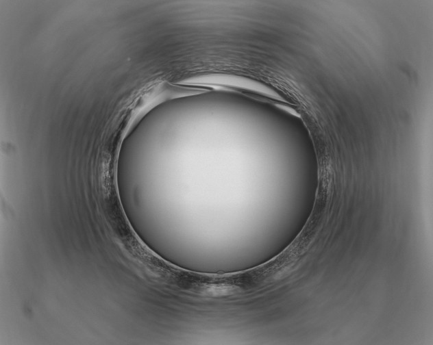 X0000090610360200708071208