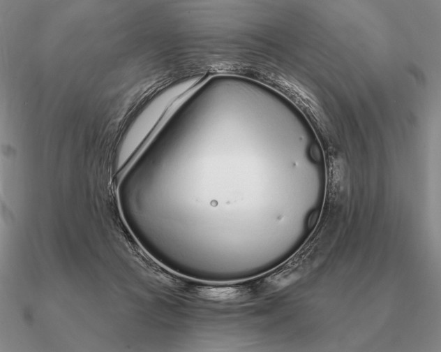 X0000090610361200708071208