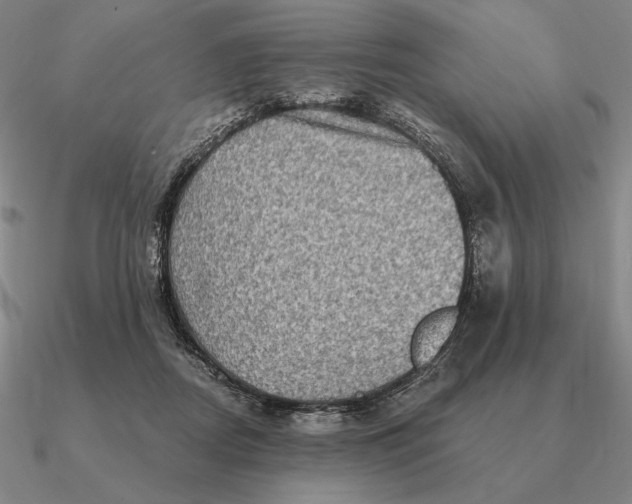 X0000090610362200708071208