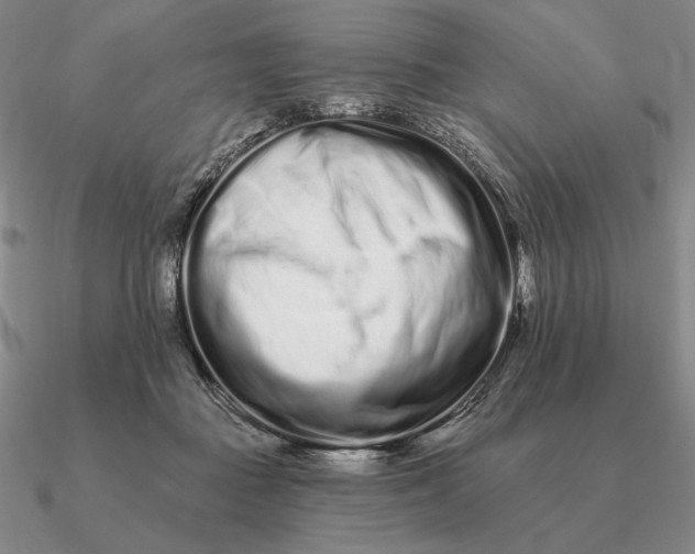 X0000090610363200708071208