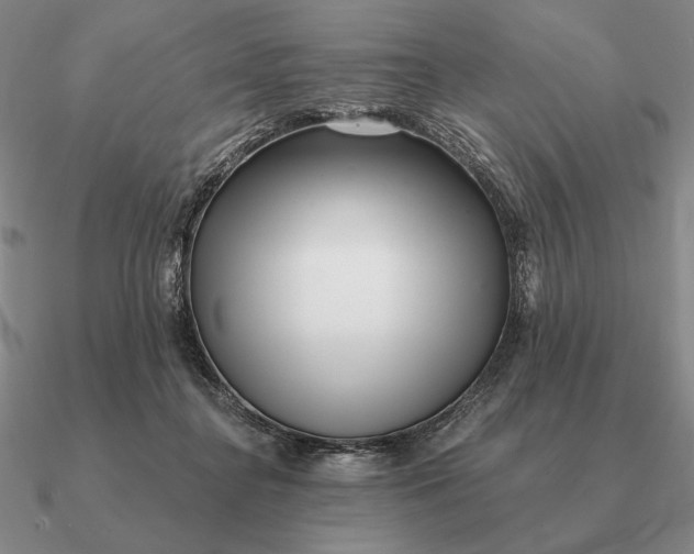 X0000090610364200708071208