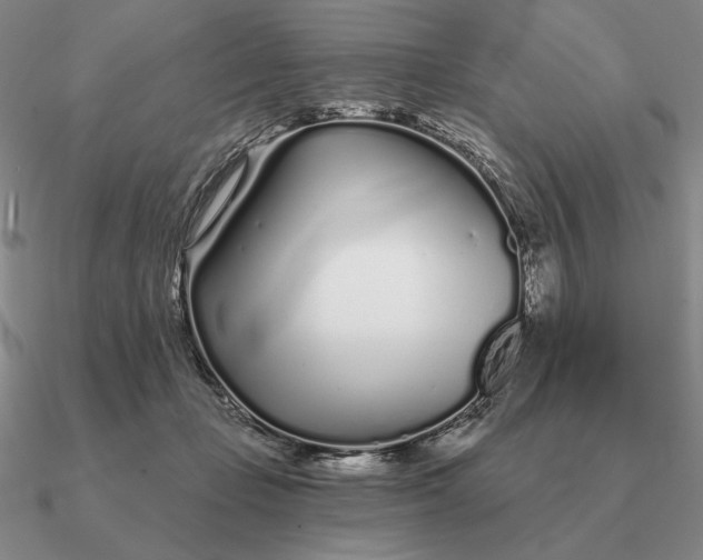 X0000090610365200708071208