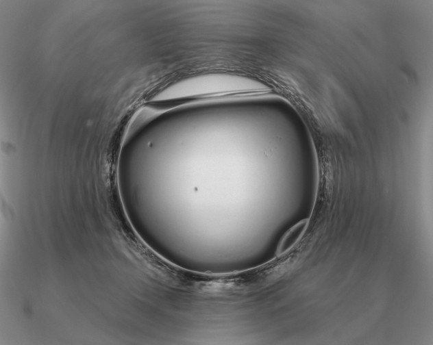 X0000090610366200708071208