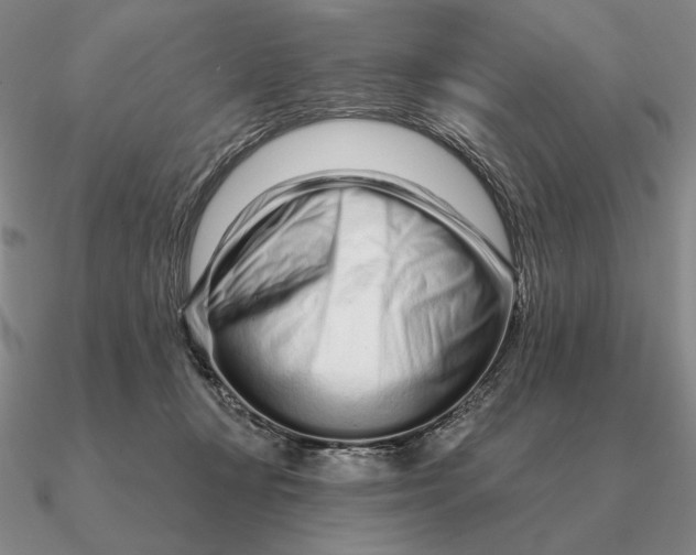 X0000090610367200708071208