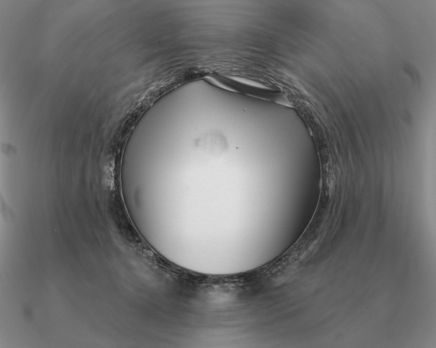 X0000090610368200708071208