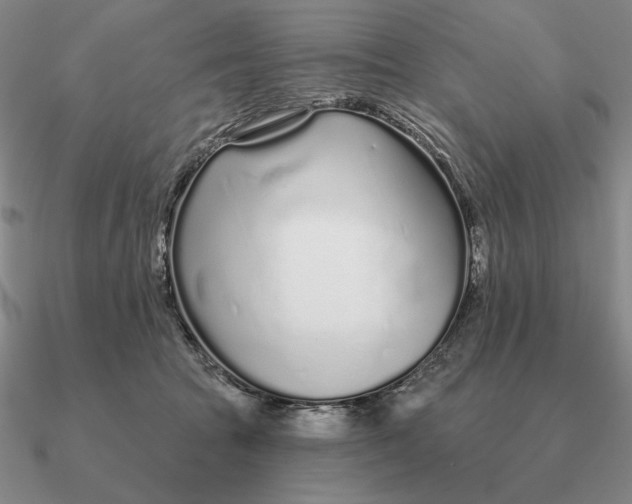 X0000090610369200708071208