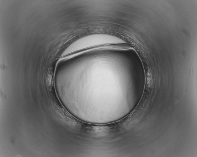 X0000090610371200708071208