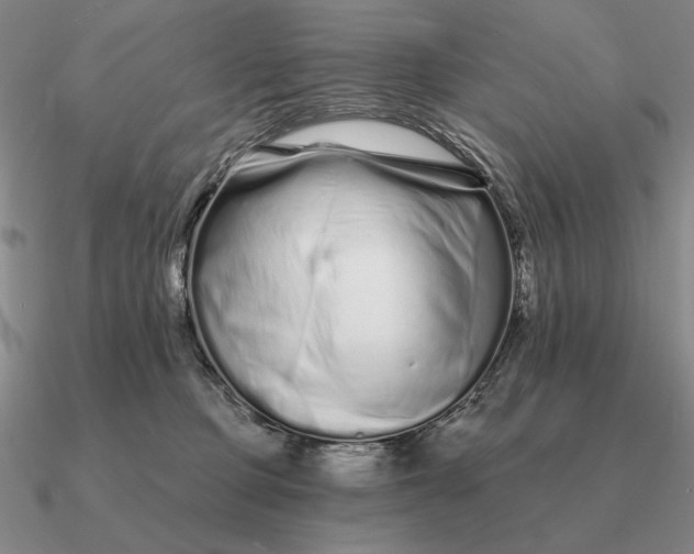 X0000090610373200708071208