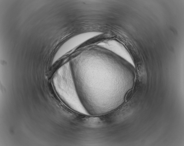 X0000090610374200708071208