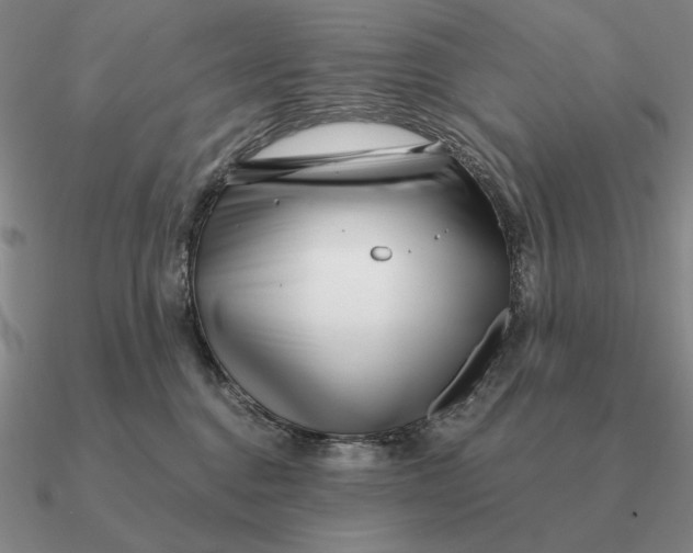 X0000090610376200708071208