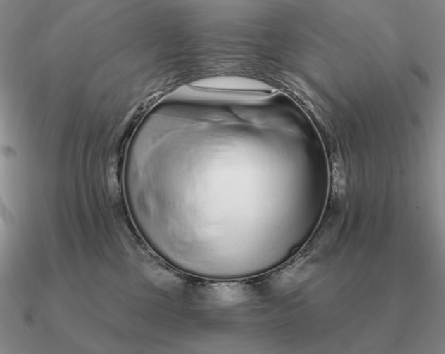 X0000090610377200708071208