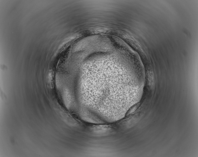 X0000090610378200708071208