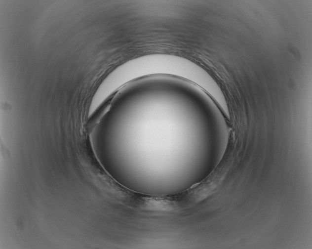 X0000090610380200708071208