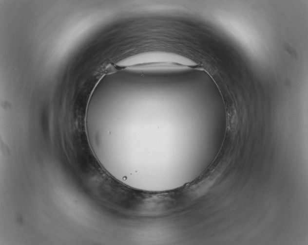 X0000090610382200708071208