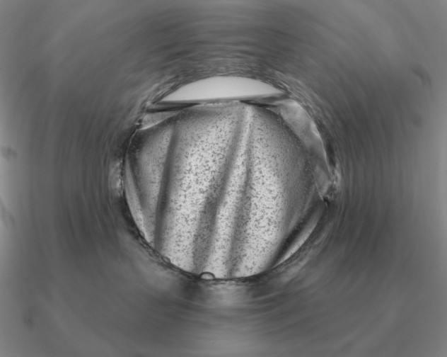 X0000090610383200708071208