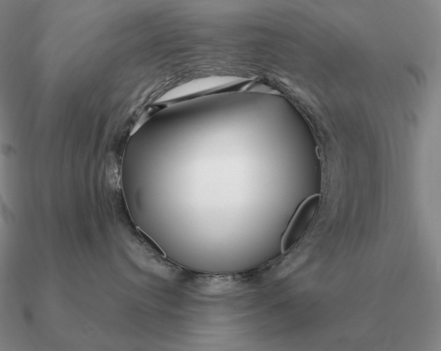 X0000090610384200708071208