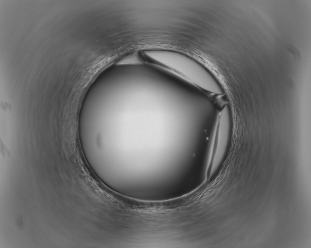 X0000090610385200708071208