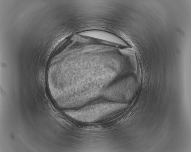 X0000090610386200708071208