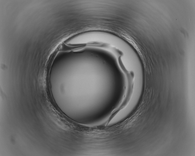 X0000090610387200708071208