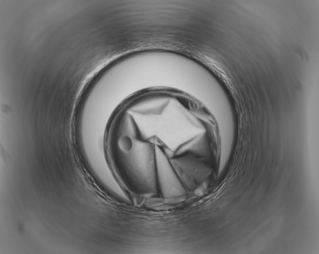 X0000090610388200708071208