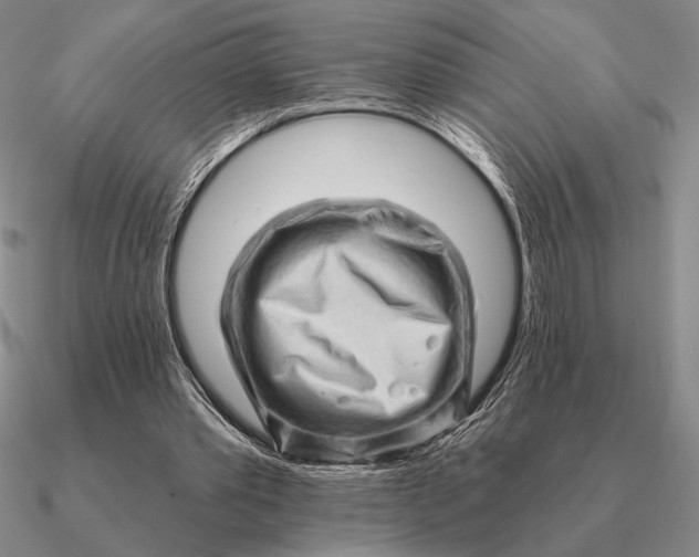 X0000090610389200708071208