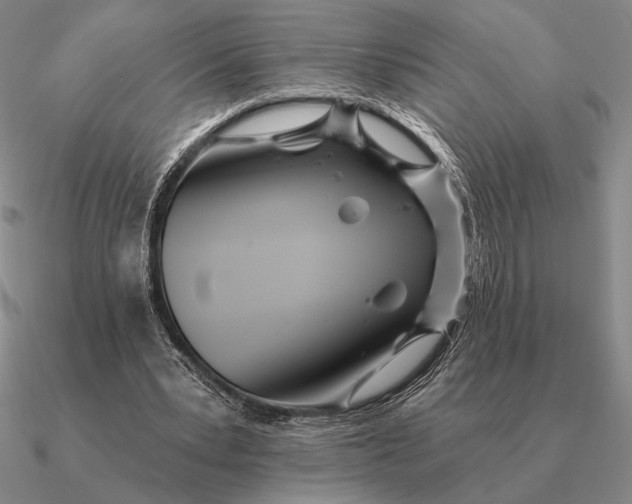 X0000090610391200708071208