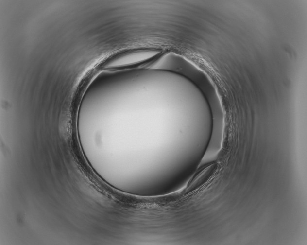 X0000090610392200708071208