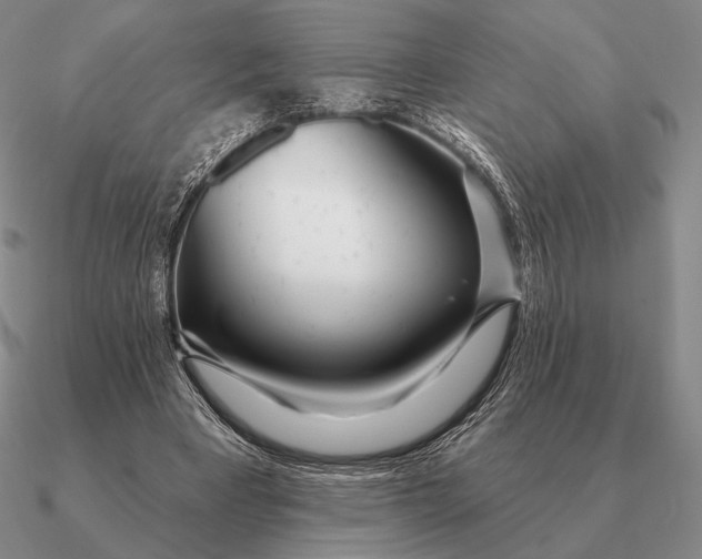 X0000090610393200708071208