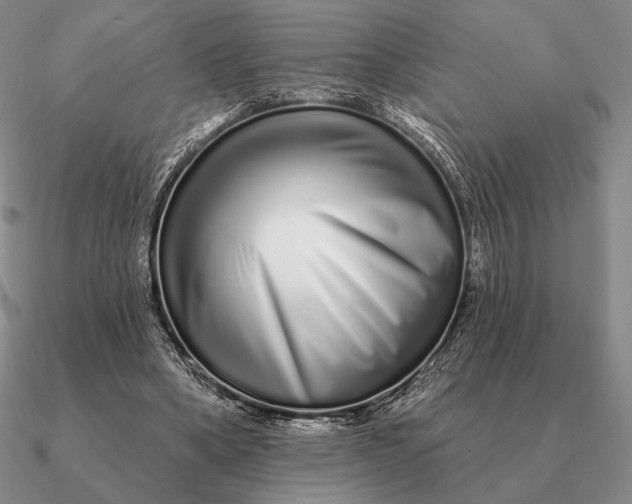 X0000090610394200708071207