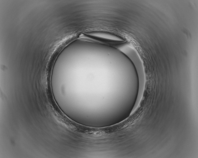 X0000090610395200708071207