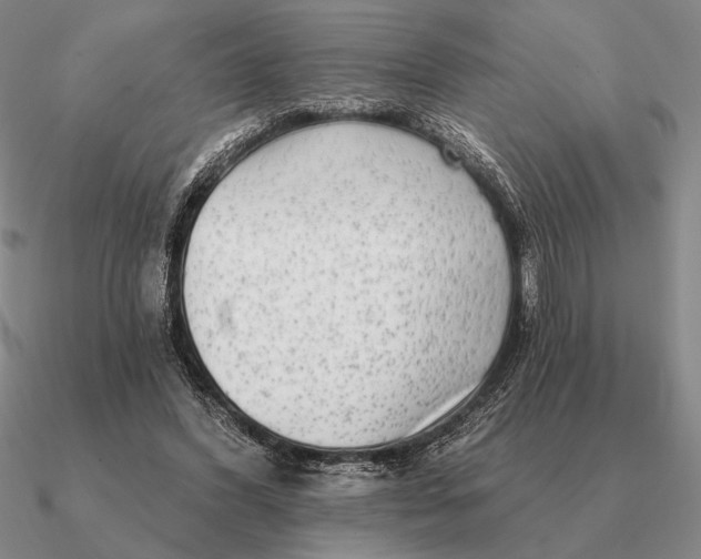 X0000090610396200708071207