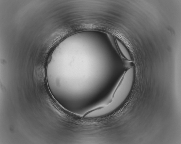 X0000090610397200708071207