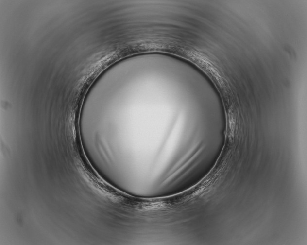 X0000090610398200708071207