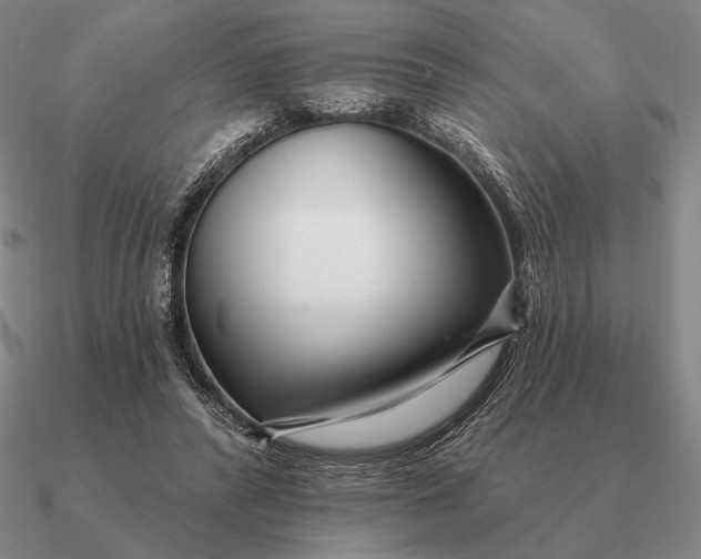 X0000090610400200708071207