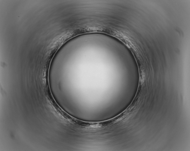 X0000090610402200708071207