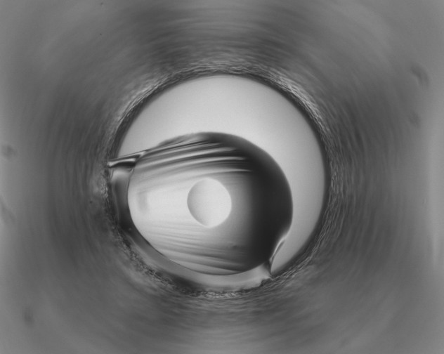 X0000090610403200708071207