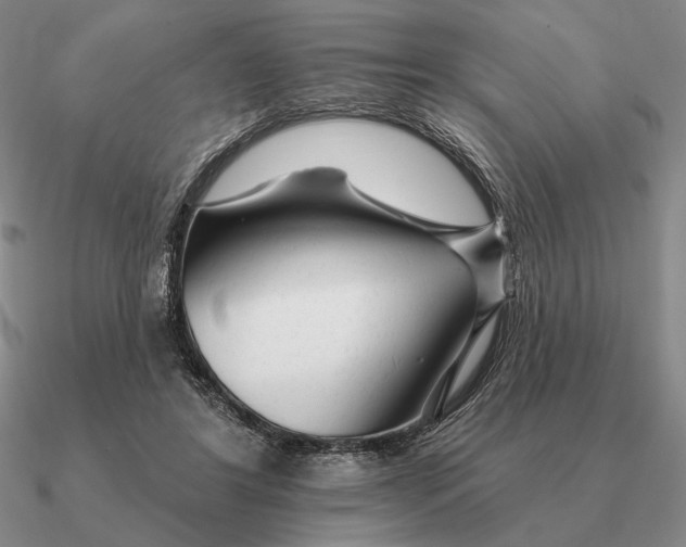 X0000090610404200708071207